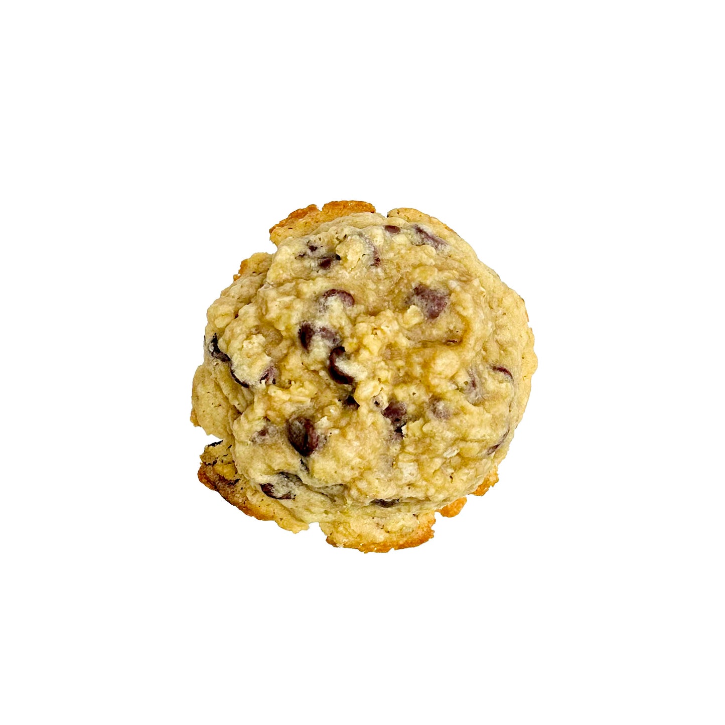 Chocolate Oatmeal cookies